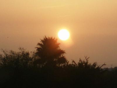 20091105040750-p7310055.jpg